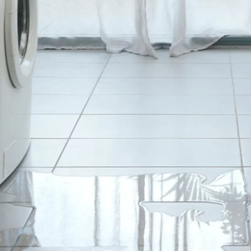 Appliance Leak Cleanup in Lake in the Hills, IL