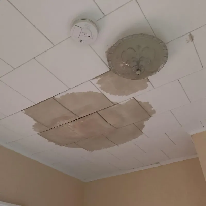 Ceiling Water Damage Repair in Lake in the Hills, IL