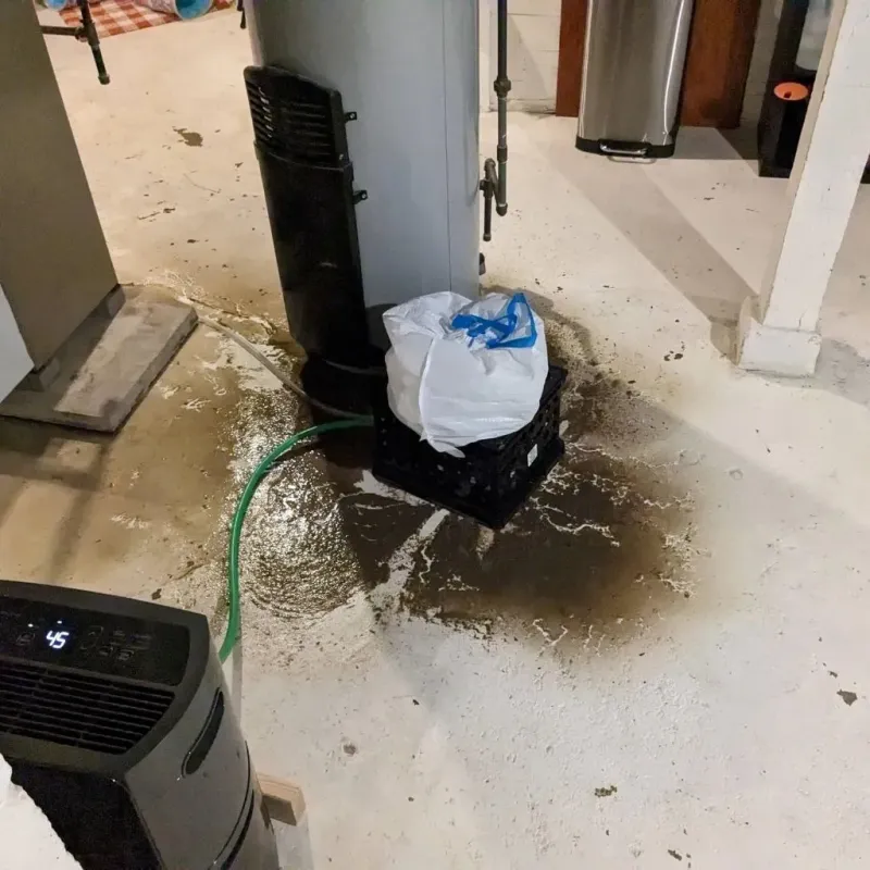 Sewage Backup Cleanup Service in Lake in the Hills, IL